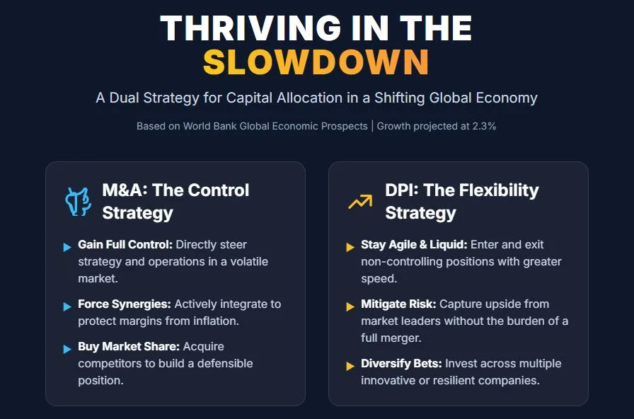 Infographic: Thriving in the Slowdown, comparing M&A as the control strategy with DPI as the flexibility strategy